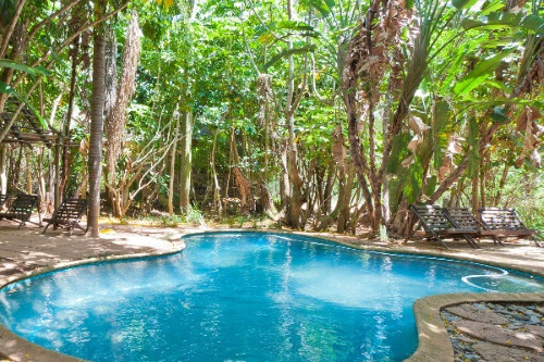Greenfire Lodge Hazyview zwembad